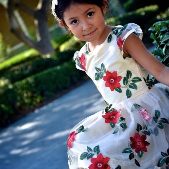 FIVE LOAVES TWO FISH POINSETTIA DRESS - Picture 2 of 8